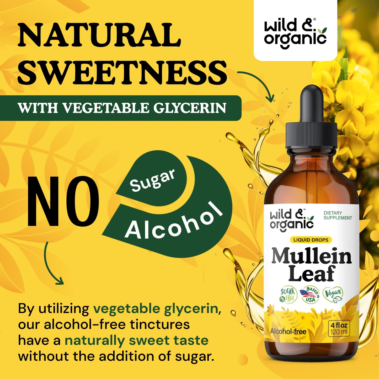 Wild & Organic Mullein Drops for Lungs - Cleanse and Detox - Liquid Mullein Leaf Extract for Lungs with Echinacea - Add to Tea - Verbascum Thapsus Tincture - Sugar & Alcohol-Free Supplement - 4 fl oz