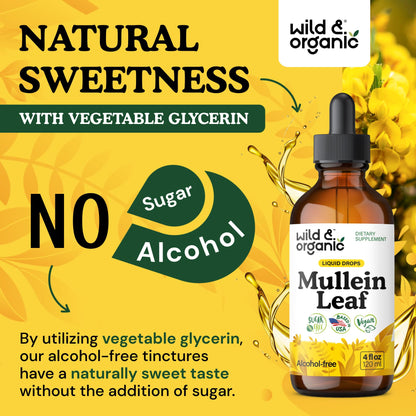 Wild & Organic Mullein Drops for Lungs - Cleanse and Detox - Liquid Mullein Leaf Extract for Lungs with Echinacea - Add to Tea - Verbascum Thapsus Tincture - Sugar & Alcohol-Free Supplement - 4 fl oz