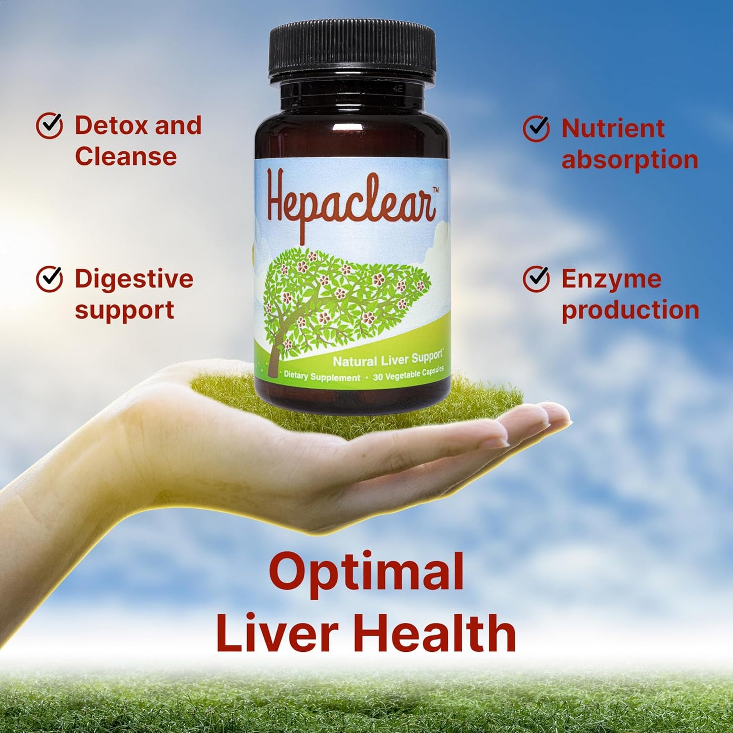 Liver Support Supplement with Hesperidin, Vegan, Gluten-Free | Promotes Healthy Liver Function, Detox, and Cleanse with Milk Thistle for Less Bloating and Better Digestion, 30-Day Supply