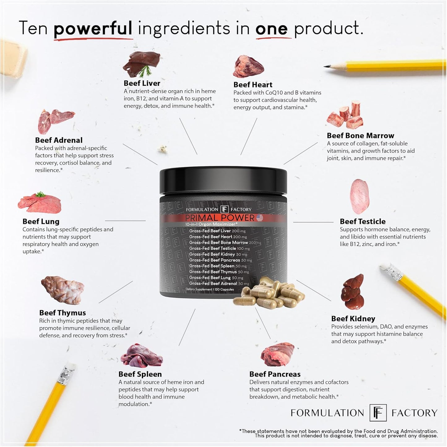 Formulation Factory Primal Power x Self Obsessed (Bundle)