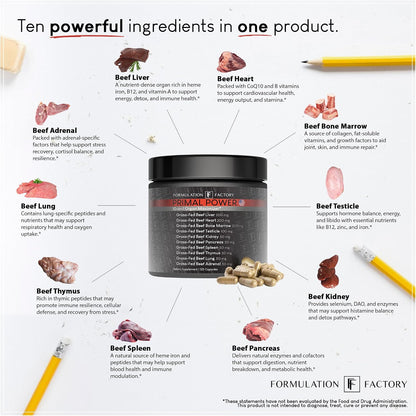 Formulation Factory Primal Power x Heart of Steel