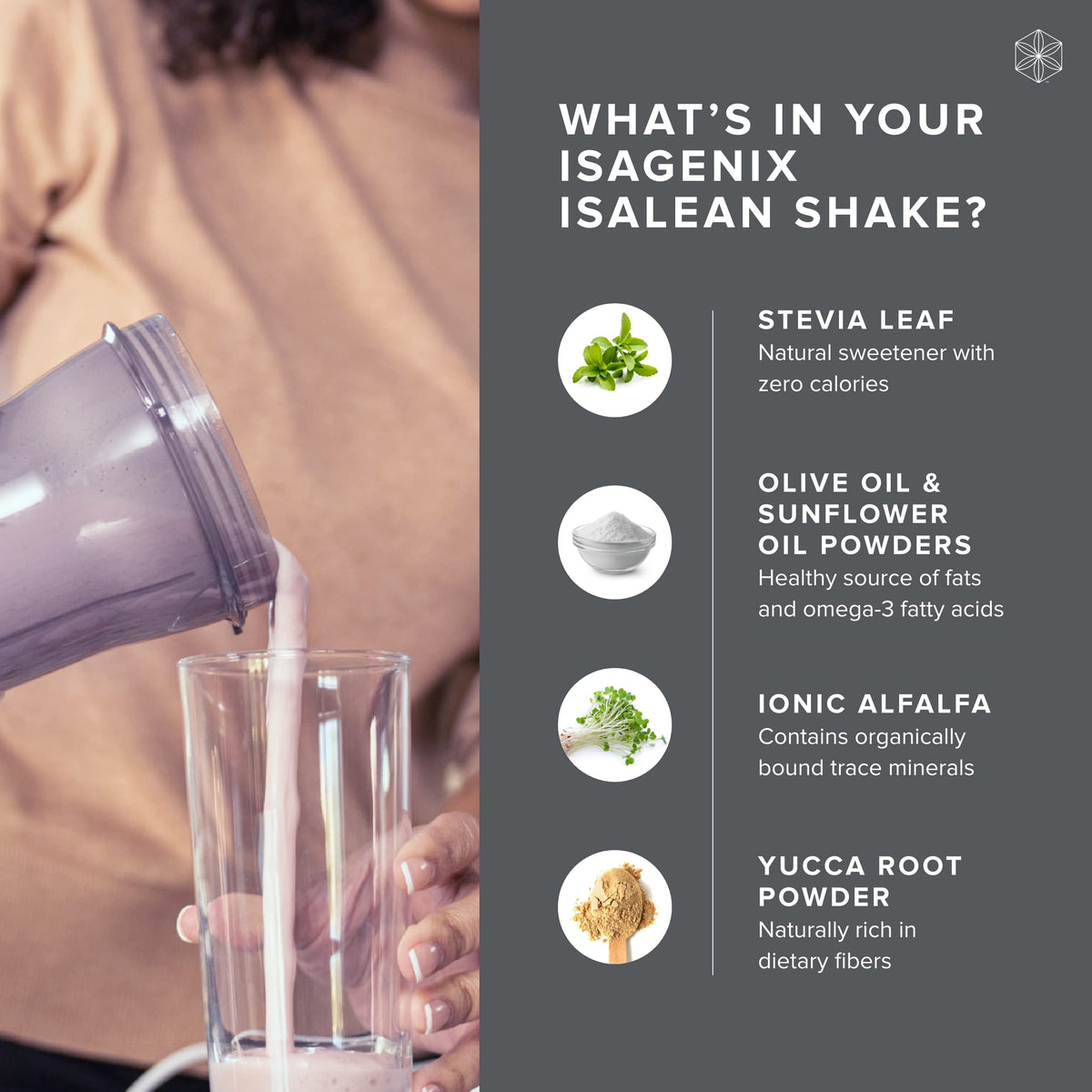 Isagenix IsaLean Shake - Meal Replacement Protein Shake Supports Healthy Weight
