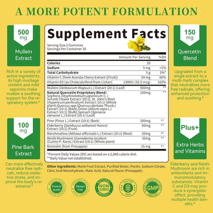 (2 Pack) Mullein Gummies for Lung Cleanse & Lymphatic Drainage* -120 Count | Extra Strength Mullein Leaf Extract w/Quercetin, Elderberry & Marshmallow for Respiratory & Immunity - for Women & Men-Vegan