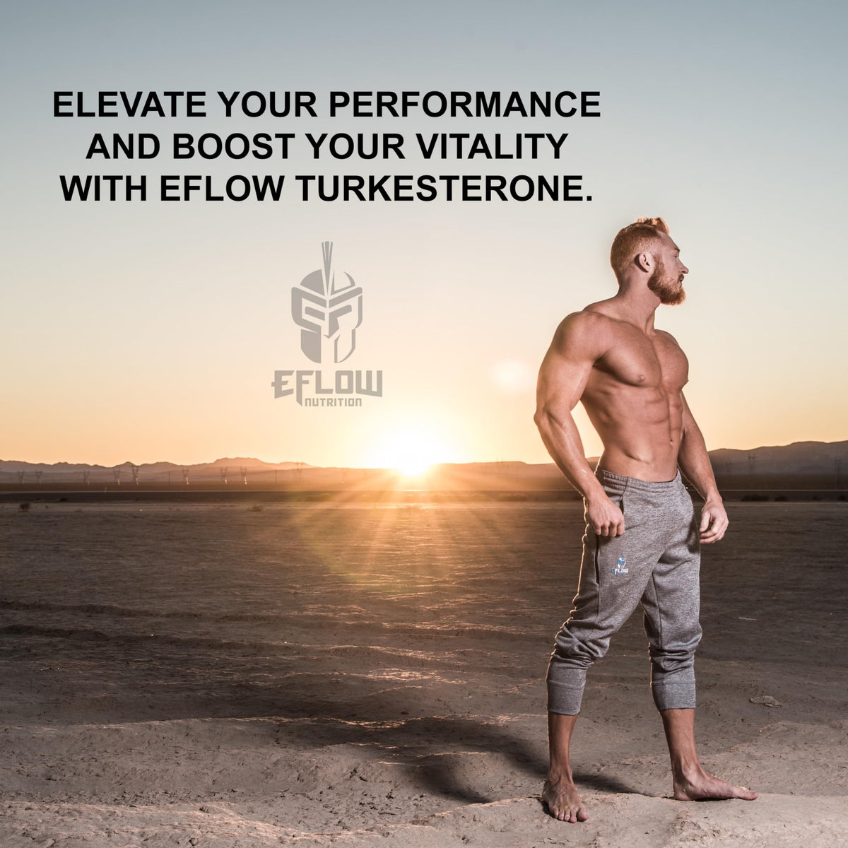 eFlow Nutrition Turkesterone (500 mg) Ajuga Turkestania Extract Complexed