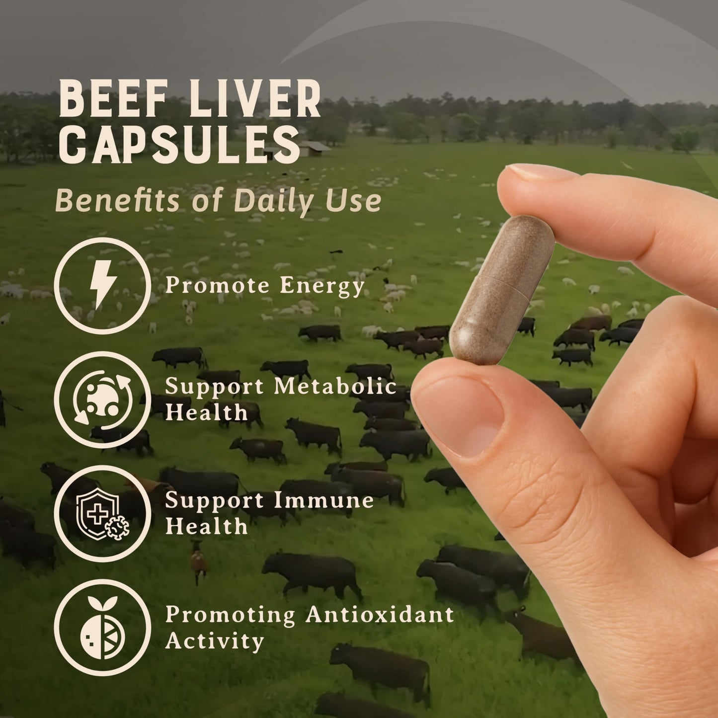HEART & SOIL Beef Organs Supplement, 180 Capsules | 100% grass fed & finished from regenerative cattle with liver, heart, kidney, pancreas & spleen. 3000mg formula.