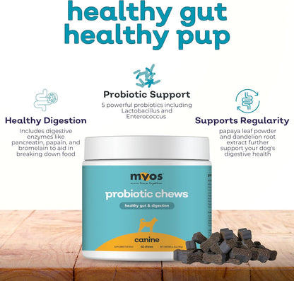 MYOS Probiotic Chew for Dogs - Daily Digestive Support, Promotes Complete Gut Health, Aids Digestion, Enhances Nutrient Absorption, Supports Healthy Stool - All-in-One Chewable Supplement