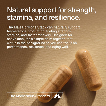 Momentous Male Hormone Support Stack - Natural Wellness & Performance Supplement to Support Joint Health, Hormone Balance & Lean Muscle Mass (Tongkat Ali, 30 Servings - Zinc Picolinate, 60 Servings)
