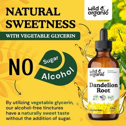 Wild & Organic Dandelion Root Extract Drops - Liver Cleanse Detox - Herbal Dandelion Tincture - Liver Support Supplement - Add to Tea - Vegan, Sugar & Alcohol-Free Liquid Drops - 4 fl oz