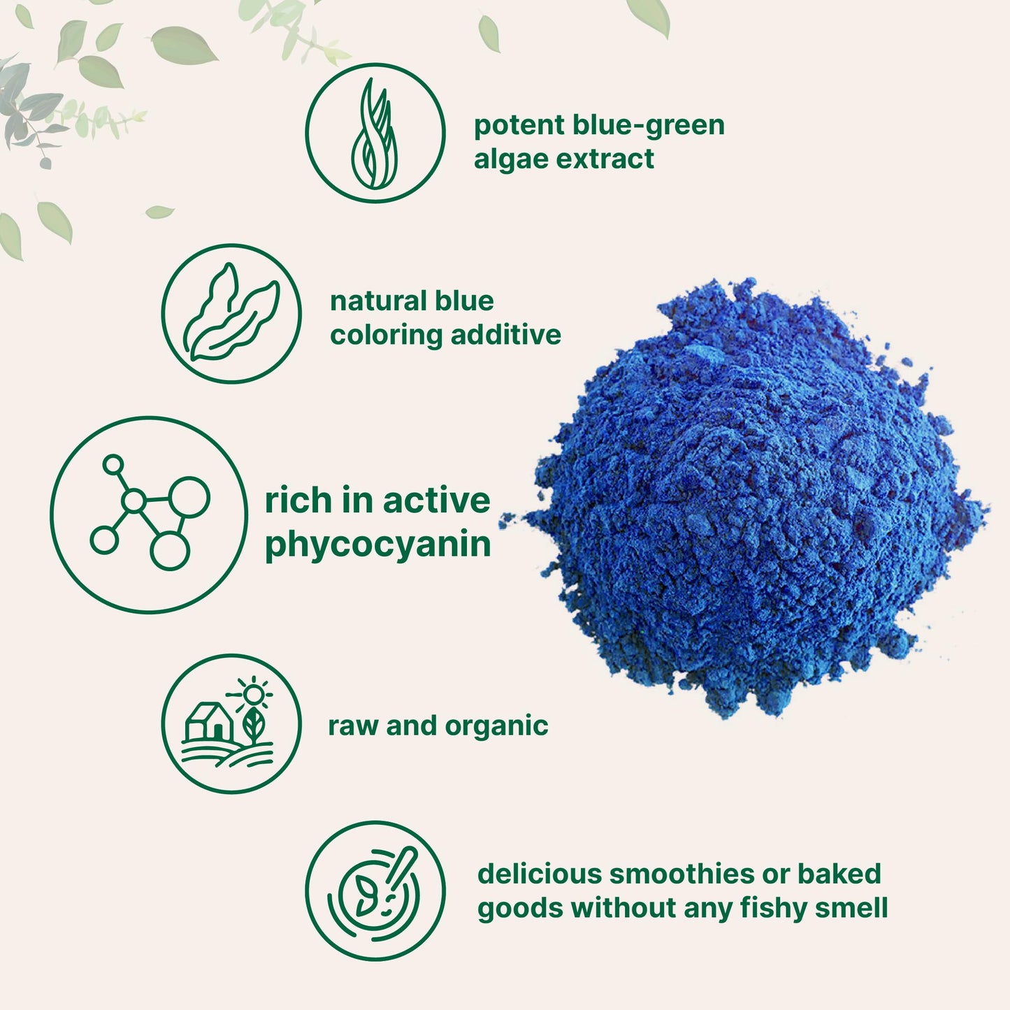 Organic Blue Spirulina Powder (Phycocyanin Extract), 30 Servings - No Fishy Smell, 100% Vegan Protein from Blue-Green Algae, Natural Luminous Food Coloring for Smoothies, Baking, Drinks & Cooking