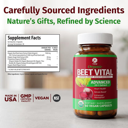 1 Body Beet Root Capsules 1360mg, 20:1 Extract, Beet Vital, 60 Caps