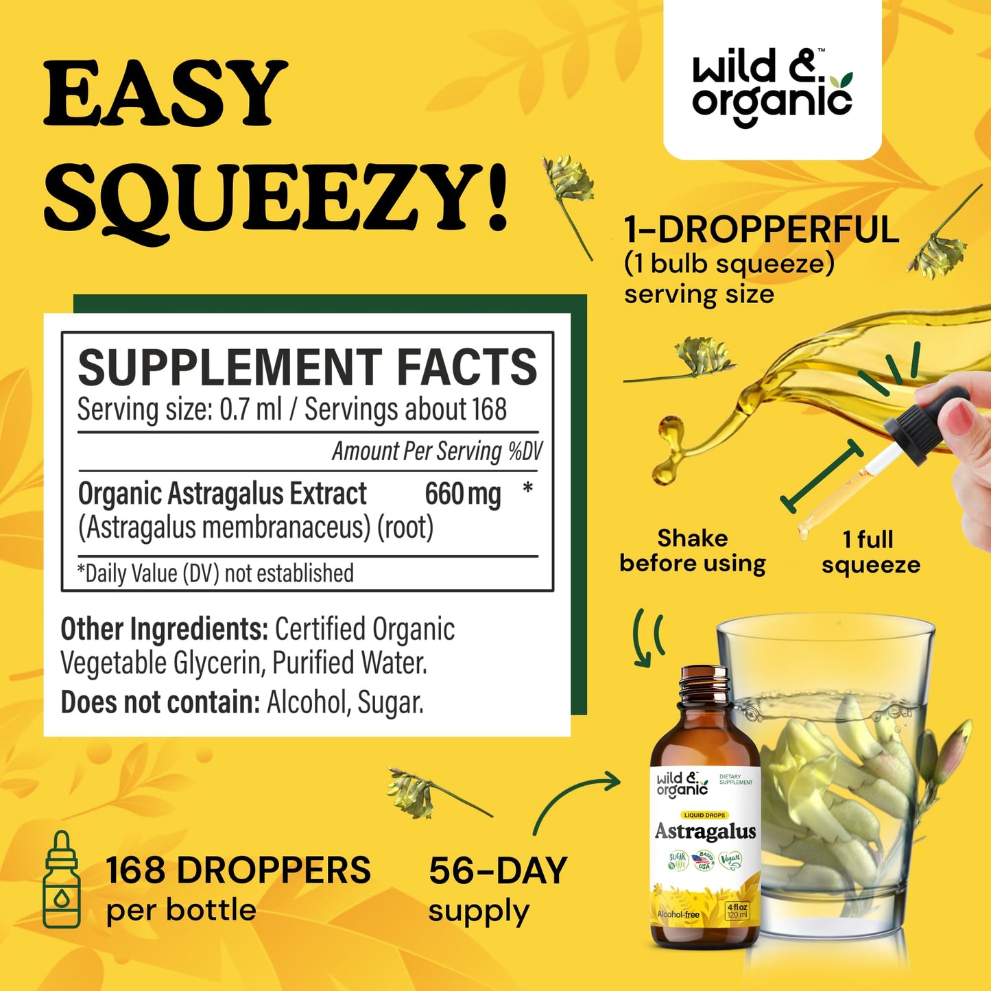 Wild & Organic Astragalus Root Extract Drops - Immune Support - Liquid Astragalus Supplement - Add to Tea & Mix with Powder - Membranaceus Herb - Vegan, Sugar & Alcohol-Free Tincture - 4 fl oz