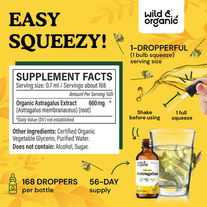 Wild & Organic Astragalus Root Extract Drops - Immune Support - Liquid Astragalus Supplement - Add to Tea & Mix with Powder - Membranaceus Herb - Vegan, Sugar & Alcohol-Free Tincture - 4 fl oz