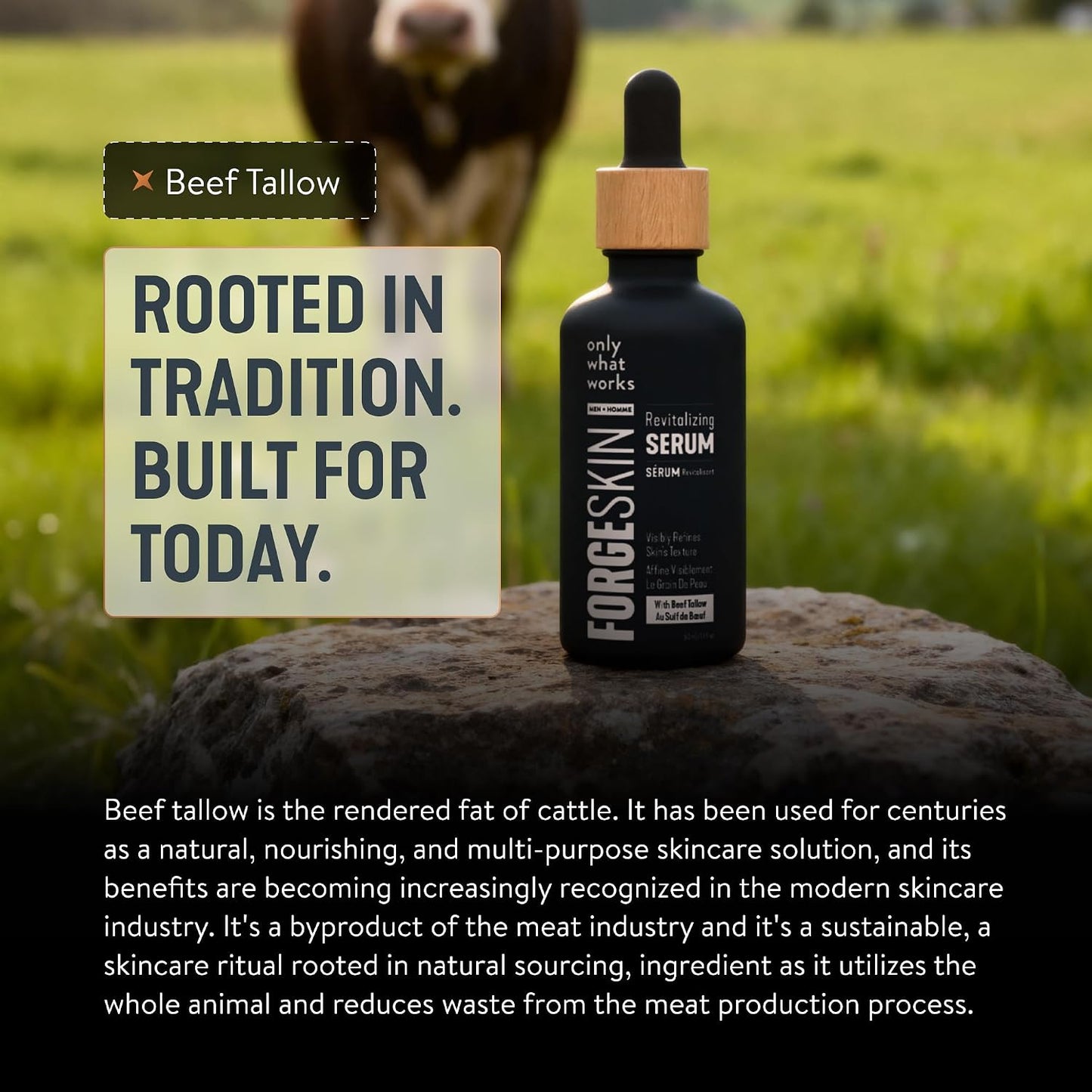 FORGE SKIN Night Beef Tallow Serum for Men [TALLOW-BASED] - Facial Essence for Face Wrinkles with Essential Oils - Natural Green Tea Skincare for Radiance and Skin Hydration (1.7 OZ)