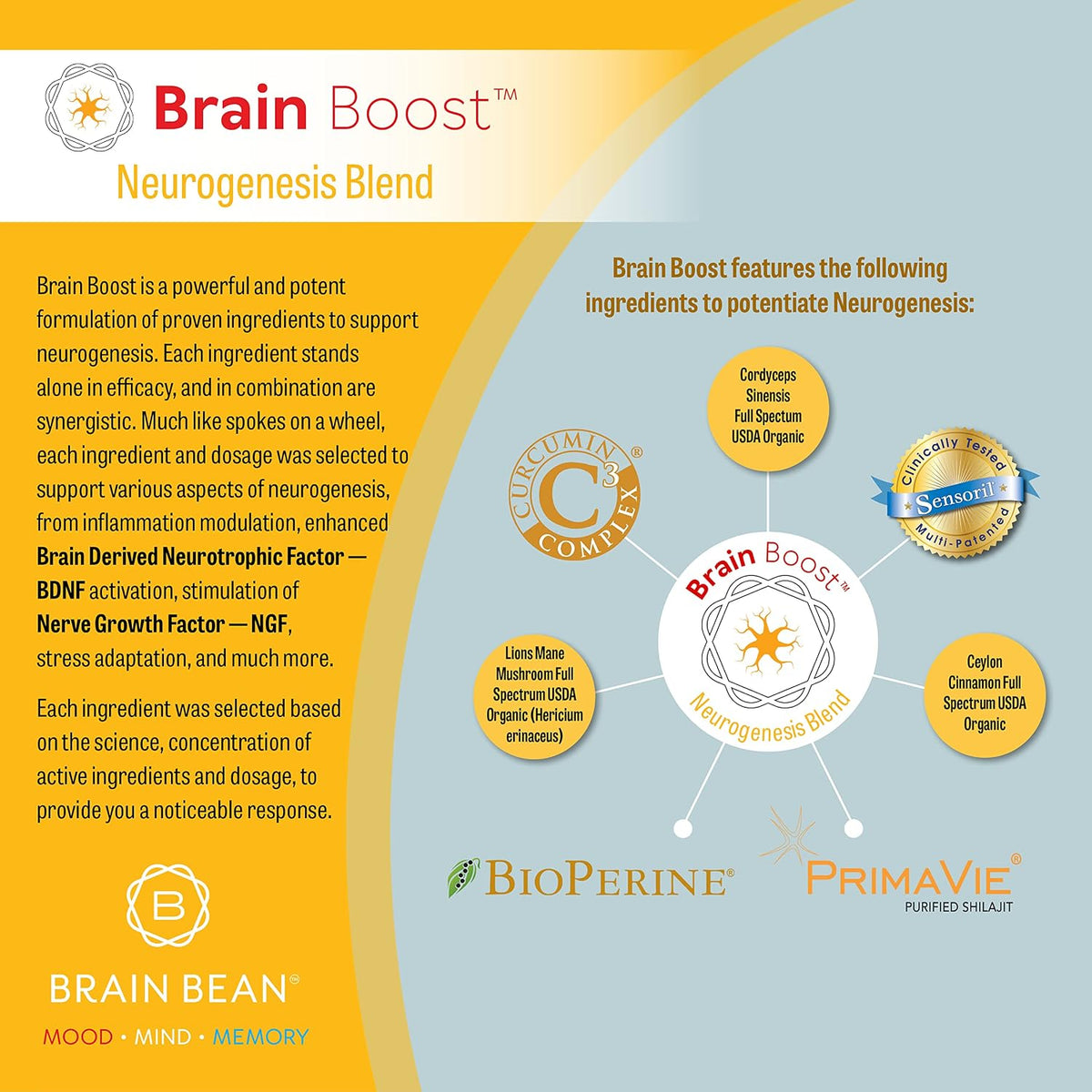 Brain Boost Capsules | with Curcumin, Cordyceps, Hericium, Ceylon Cinnamon, Purified Shilajit, and Ashwagandha | 30 Servings