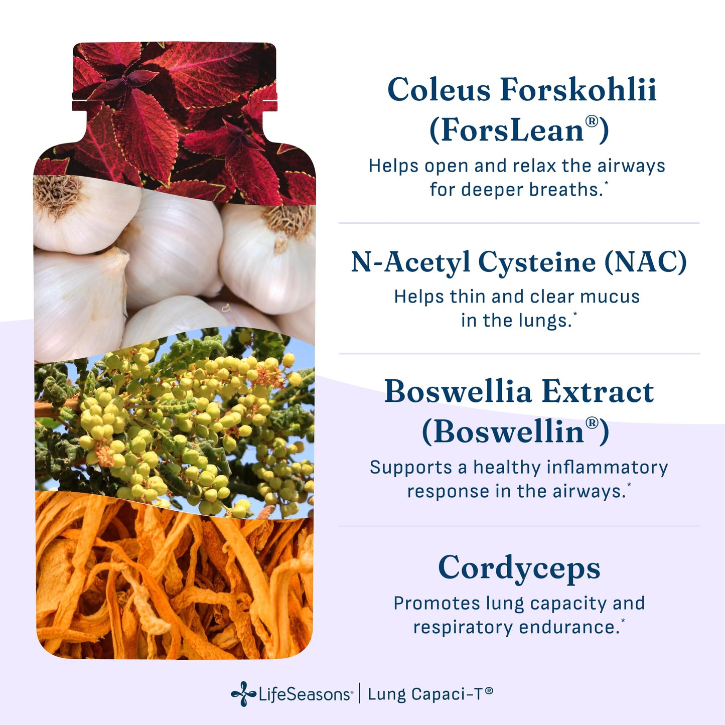 Lung Capaci-T - Respiratory Support Supplement - CoQ10, N-Acetyl Cysteine, Boswellia, Eucalyptus, Mullein, Green Tea, Nettle & Peppermint - Increases Oxygen Capacity & Reduces Mucus - 90 Capsules