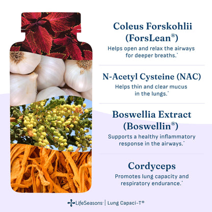 Lung Capaci-T - Respiratory Support Supplement - CoQ10, N-Acetyl Cysteine, Boswellia, Eucalyptus, Mullein, Green Tea, Nettle & Peppermint - Increases Oxygen Capacity & Reduces Mucus - 90 Capsules