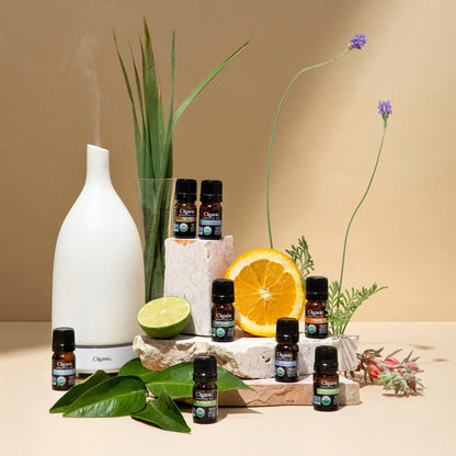 Cliganic Organic Peppermint Essential Oil - 100% Pure Natural for Aromatherapy Diffuser