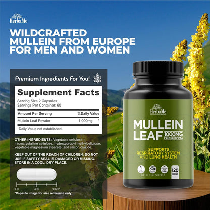 HerbaMe Mullein Leaf 1000mg, 120 Capsules - Daily Respiratory Support Supplement, Supports Breathing Comfort & Mucus Balance, Herbal Lung Support for Smokers, Men & Women