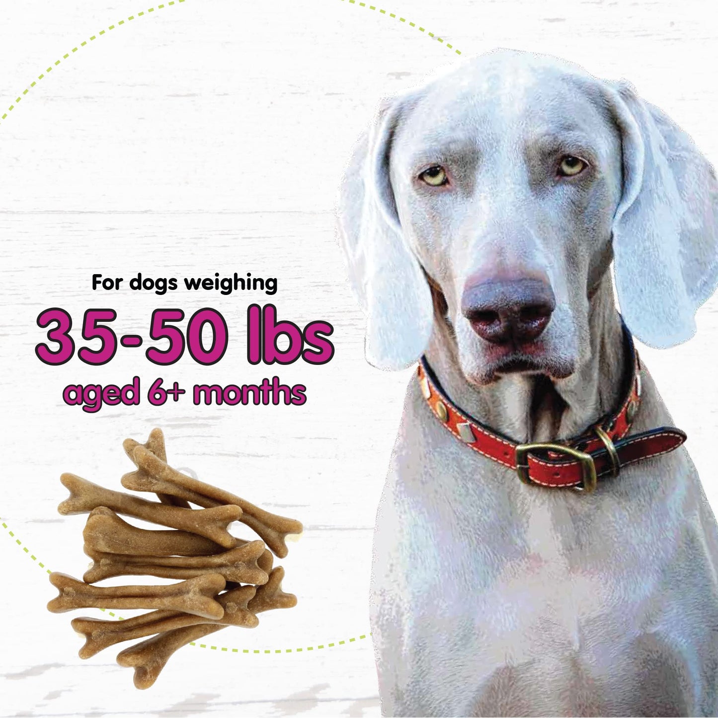Fido Belly Bones for Dogs, Mini - 21 Count - Yogurt-Flavor Dental Treats for Small Dogs - Plaque & Tartar Control for Fresh Breath - Digestive Support - Made in USA