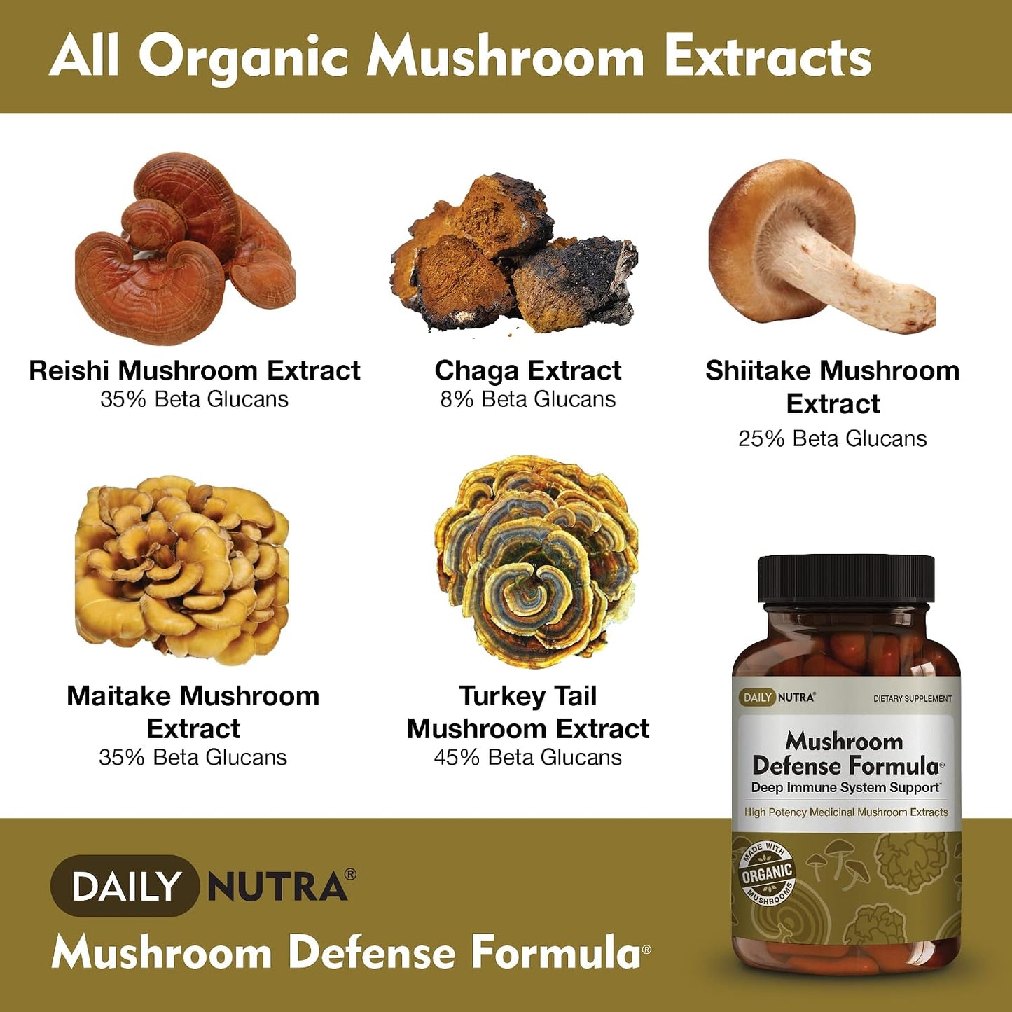 DailyNutra Mushroom Defense Formula - Immune Support Supplement | Organic Mushrooms, Hot Water Extracted - Reishi, Chaga, Maitake, Shiitake & Turkey Tail (90 Capsules)
