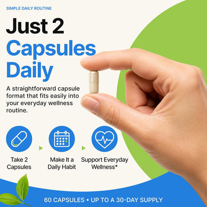 Cholesterol Supplement - All-Natural Ingredients to Support Normal Colesterol Levels. Supports Optimal Circulation. 60 Capsules