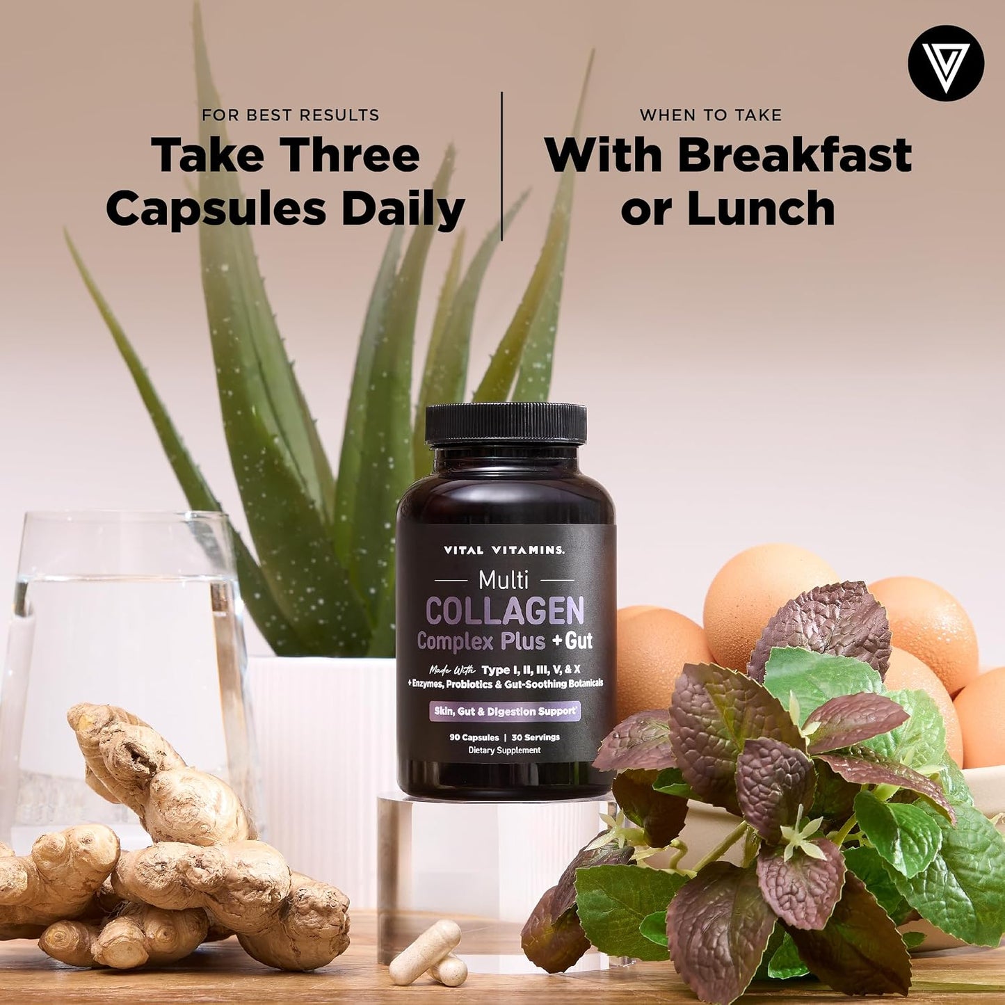 Vital Vitamins Multi Collagen Complex Plus + Gut, Probiotics & Enzymes | 5 Collagen Types I, II, III, V & X with Digestive Enzyme Blend, 3 Billion CFU Probiotic & Gut Botanicals, 90 Capsules
