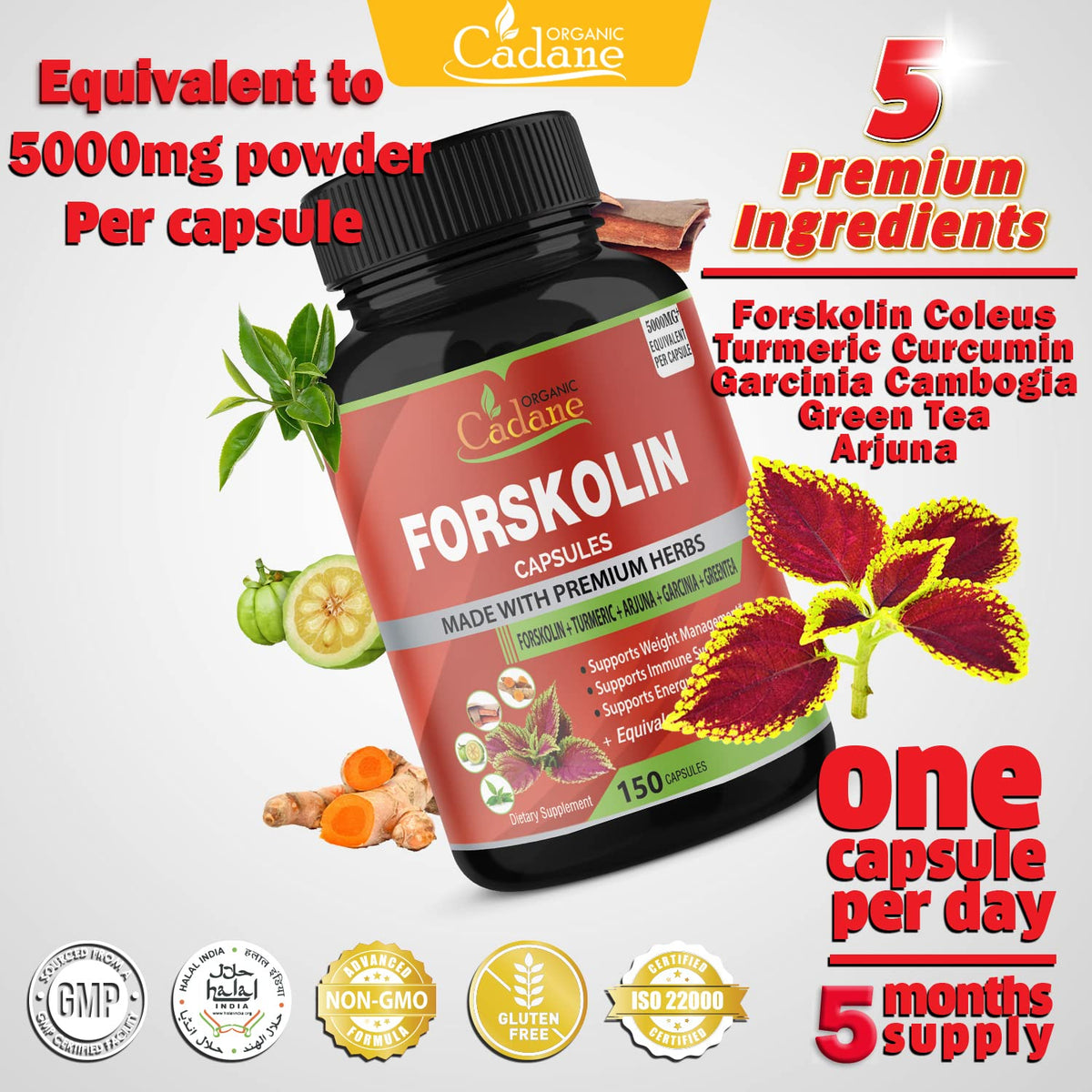 Forskolin Supplements Capsules 5000mg, 5 Month Supply, 150 Capsules & Turmeric Curcumin