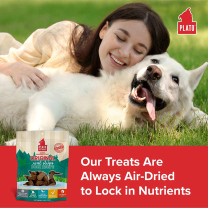 Plato Real Strips Salmon Recipe Dog Treats, Air-Dried High-Protein Soft Strips, Omega-Rich Skin & Coat Support, 18 oz