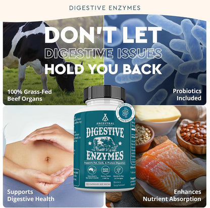 Ancestral Supplements Digestive Enzymes for Women & Men, 90 Ct | Probiotics plus grass fed beef organ supplements support gut health, digestion and nutrient absorption.