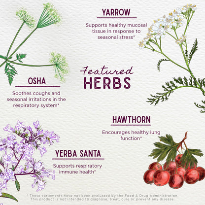 WishGarden Herbs Deep Lung & Bronchial Support - Natural Lung Support