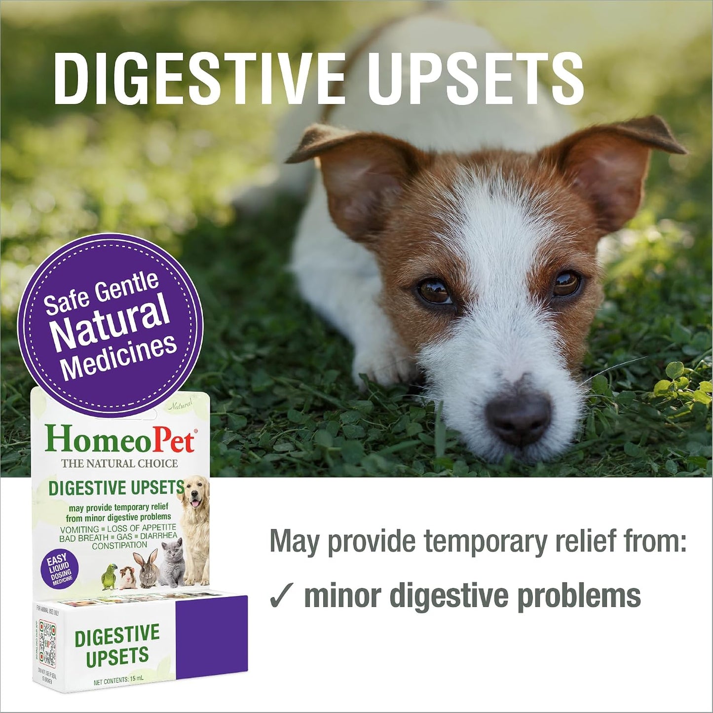 HomeoPet Digestive Upsets, Supplement for Dogs and Cats, 15 Milliliters | Natural digestive support for cats, dogs, and other pets, safe homeopathic formula, liquid drops suitable for daily use