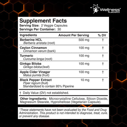 WELLNESS LABSRX Berberine 1,000mg - Third-Party Tested Berberine Supplement HCL with Ceylon Cinnamon, Black Pepper Extract and Apple Cider Vinegar, Heart Support Capsules - 240 Capsules - Pack of 2