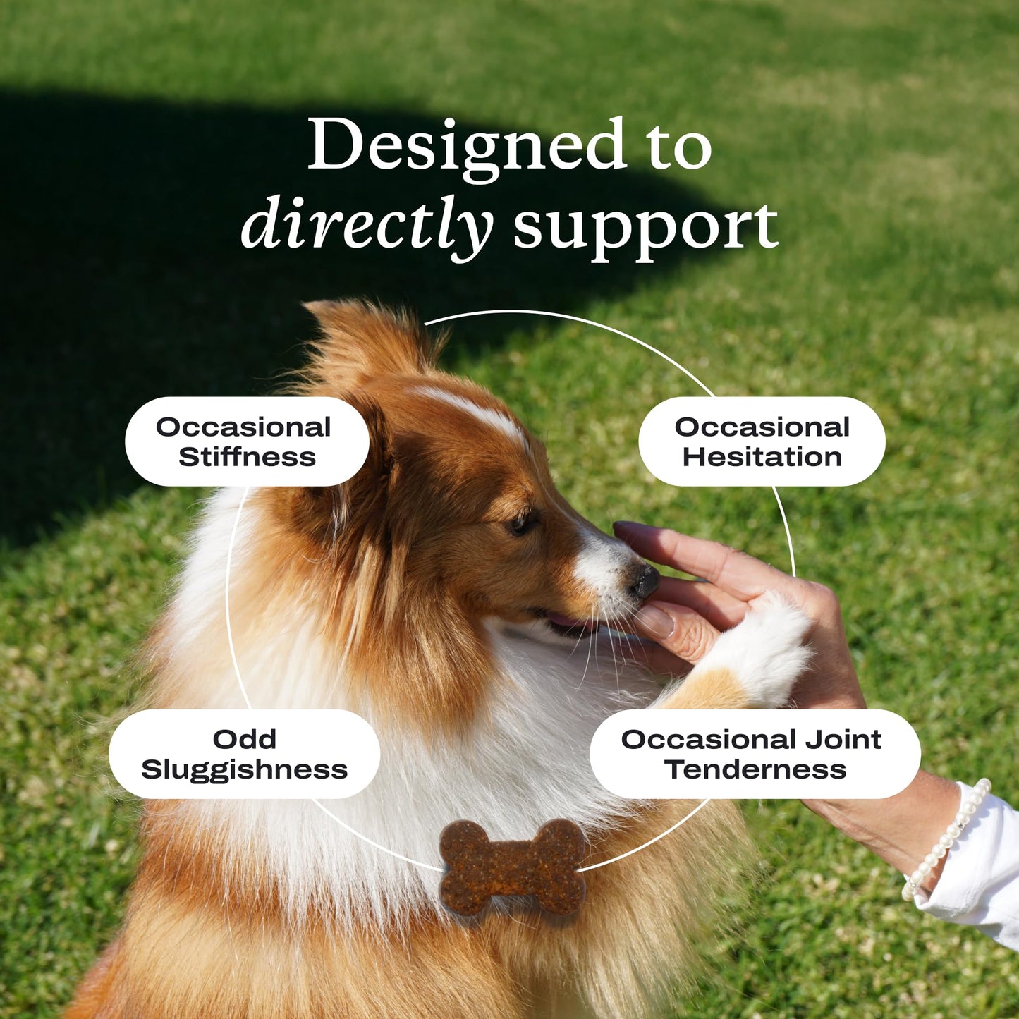 PetLab Co. Joint Care Chews for Dogs, 30 Soft Chews, Pork | Glucosamine, green-lipped mussel and omega-3s to support joint comfort, cartilage health and daily mobility