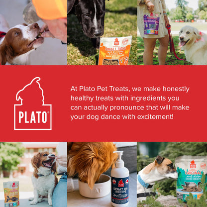 Plato Real Strips Salmon Recipe Dog Treats, Air-Dried High-Protein Soft Strips, Omega-Rich Skin & Coat Support, 18 oz