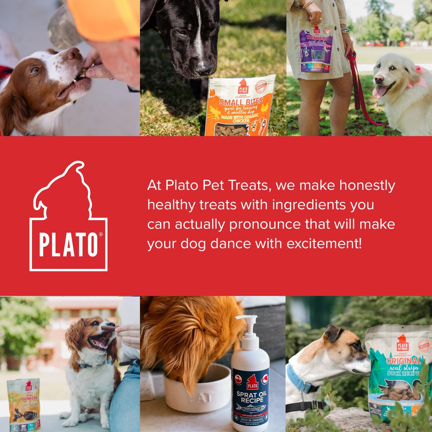 Plato Pet Treats Real Strips - Air-Dried Meat Bars for Dogs - Delicious, Limited Ingredient Dog Treats - Grain Free - Original Real Strips Turkey & Pumpkin 18oz - 2 Pack