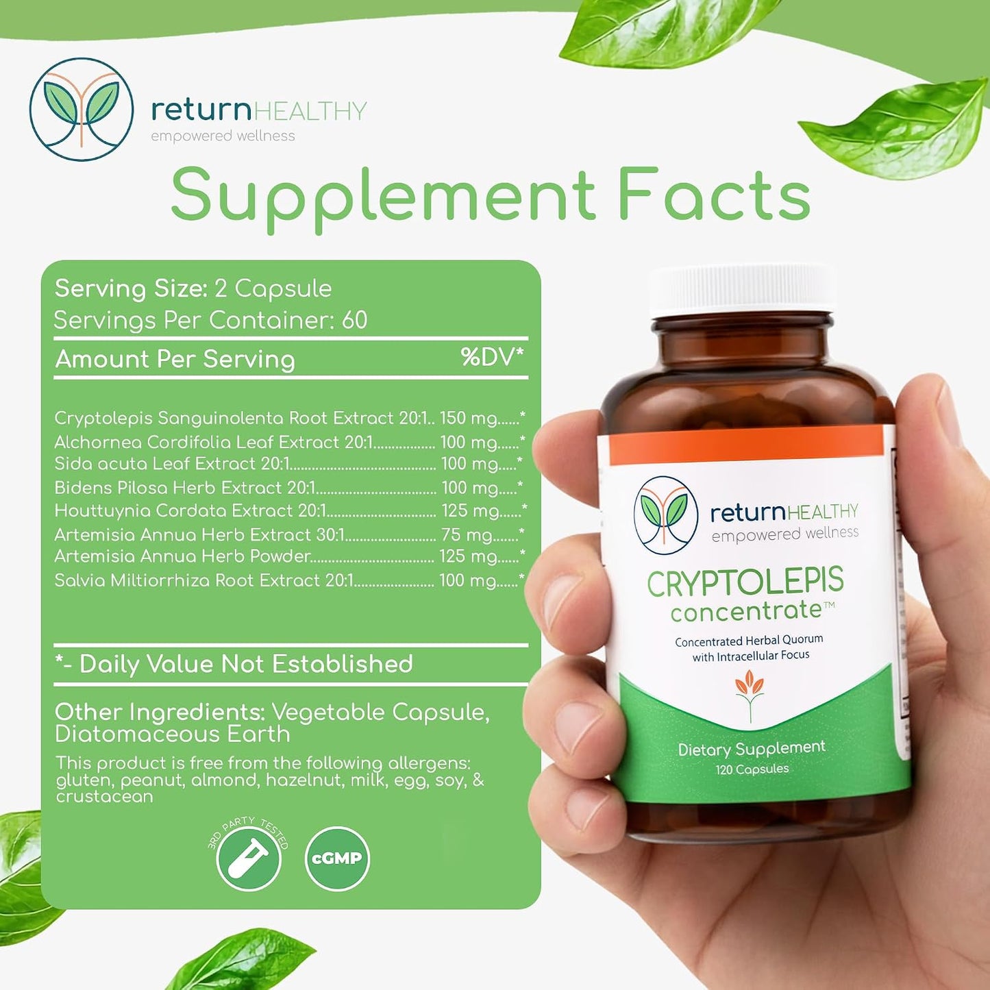 Cryptolepis Concentrate, Immune Support with Cryptolepis Sanguinolenta for Immunity Boost, Concentrated Herbal Supplements, Antioxidant & Health Supplement, 120 Capsules