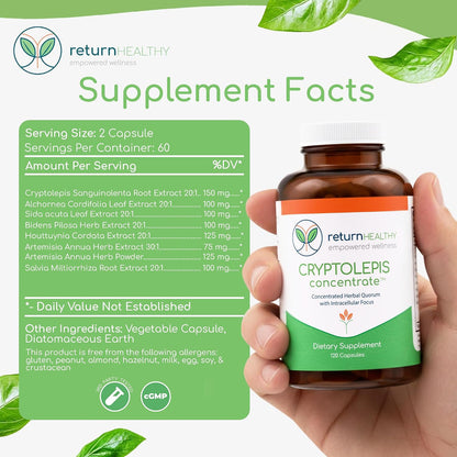 Cryptolepis Concentrate, Immune Support with Cryptolepis Sanguinolenta for Immunity Boost, Concentrated Herbal Supplements, Antioxidant & Health Supplement, 120 Capsules