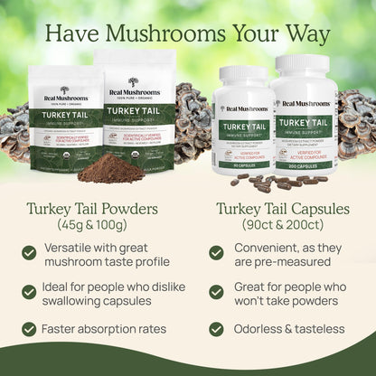 Real Mushrooms Turkey Tail Mushroom Powder – Organic Mushroom Extract for Daily Wellness Gut Harmony, & Energy Support with Beta Glucans – Vegan, Non-GMO, 45 Servings Functional Supplement