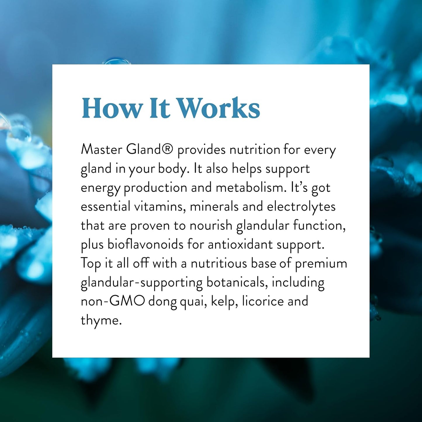 Nature's Sunshine Master Gland, 120 Capsules | Provides Complete Nutritional Support for Every Gland in the Body, Helps Support Energy Metabolism