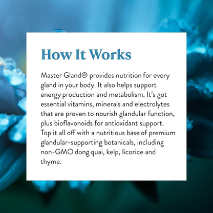 Nature's Sunshine Master Gland, 120 Capsules | Provides Complete Nutritional Support for Every Gland in the Body, Helps Support Energy Metabolism
