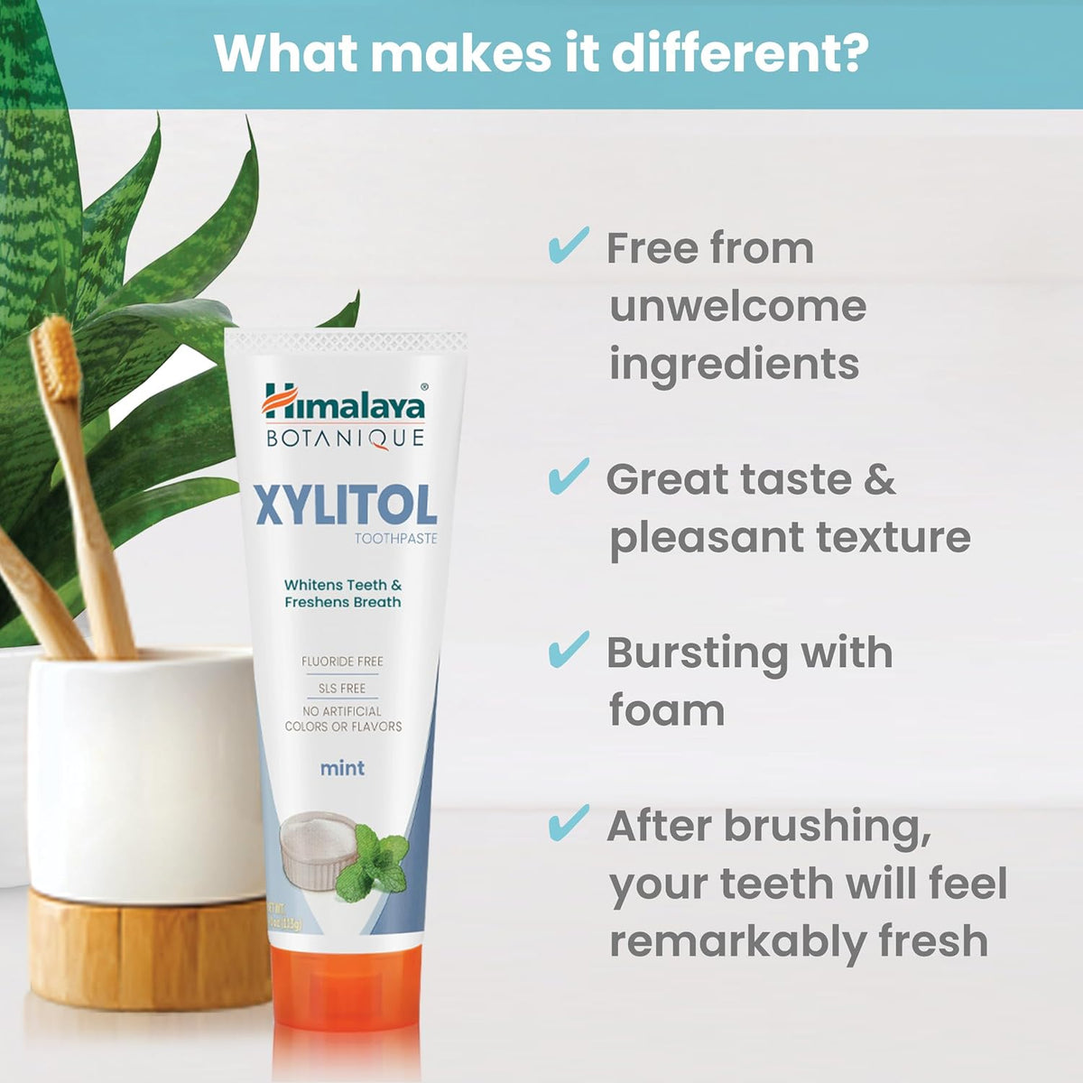 Himalaya Botanique Xylitol Fluoride-Free Toothpaste, Mint Flavor, 4 oz