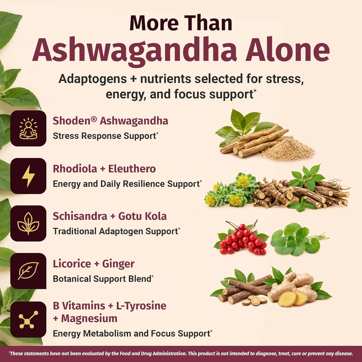 1 Body Adrenal Support Supplement, Shoden Ashwagandha + Cortisol, 60 Caps