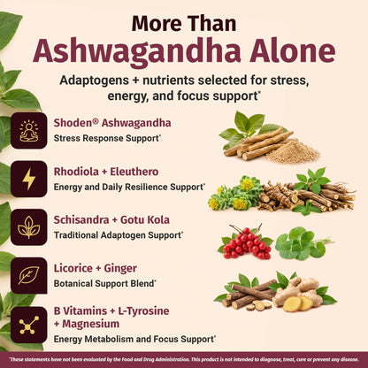 1 Body Adrenal Support Supplement, Shoden Ashwagandha + Cortisol, 60 Caps