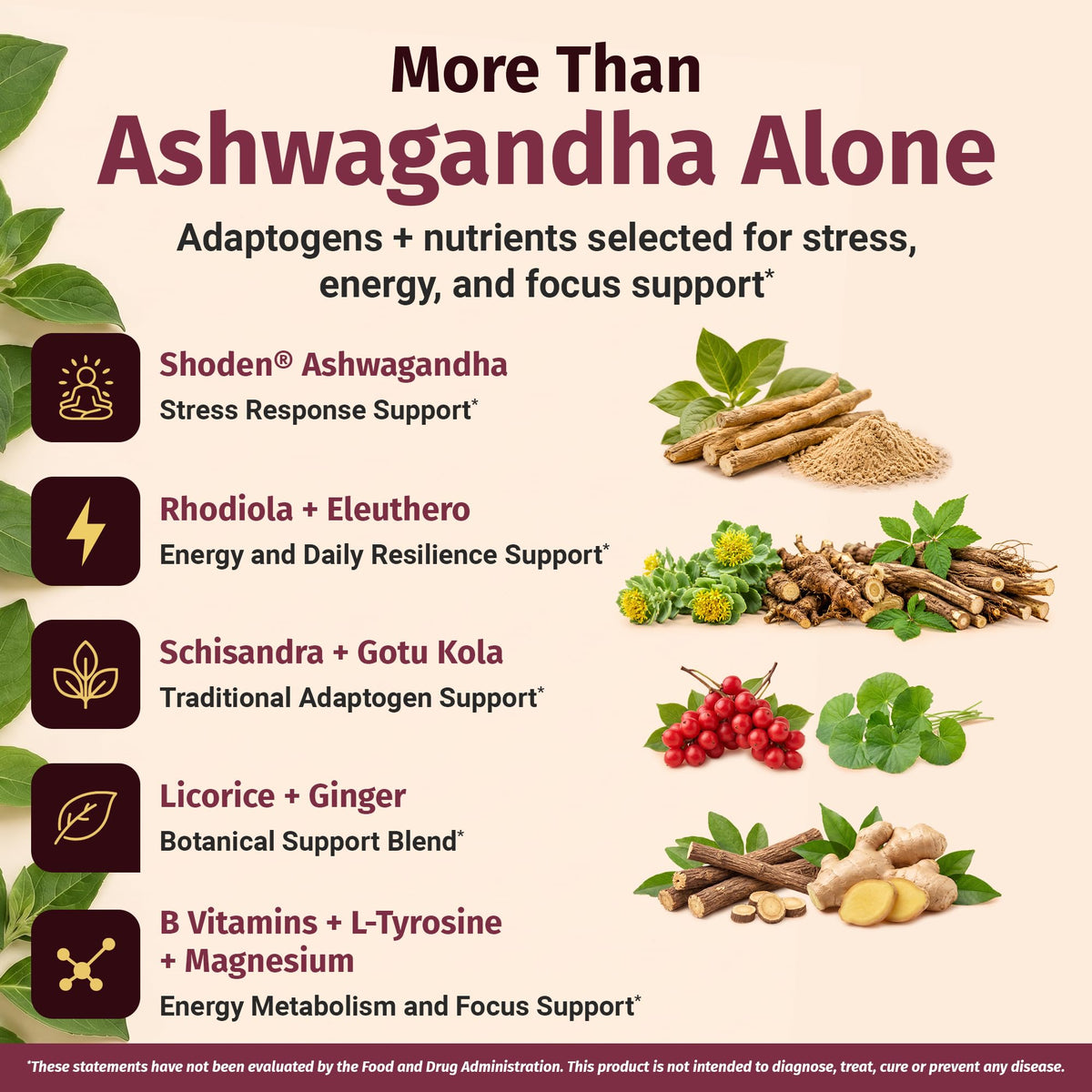 1 Body Adrenal Support Supplement, Shoden Ashwagandha + Cortisol, 60 Caps