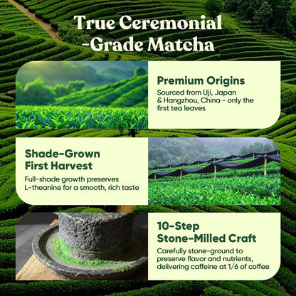 Venture Pal Ceremonial Grade Mushroom Matcha Powder + Venture Pal Calming Powdered Drink Mix - Energy, Relax & Focus - Non GMO & Vegan