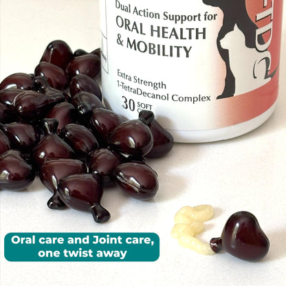 1TDC WorksSoWell Dual Action Hip and Joint Supplement for Dogs & Cats - for Large & Small Breed - Great for Oral Health, Stamina Recovery & Arthritis Pain Relief -120 ct