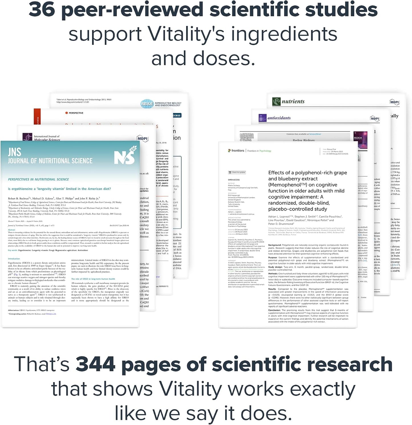 LEGION Vitality – Natural Wellness Supplement w/BlueBoreal, Rhodiola Rosea, Co-Q10 & L-Ergothioneine –30 SVG
