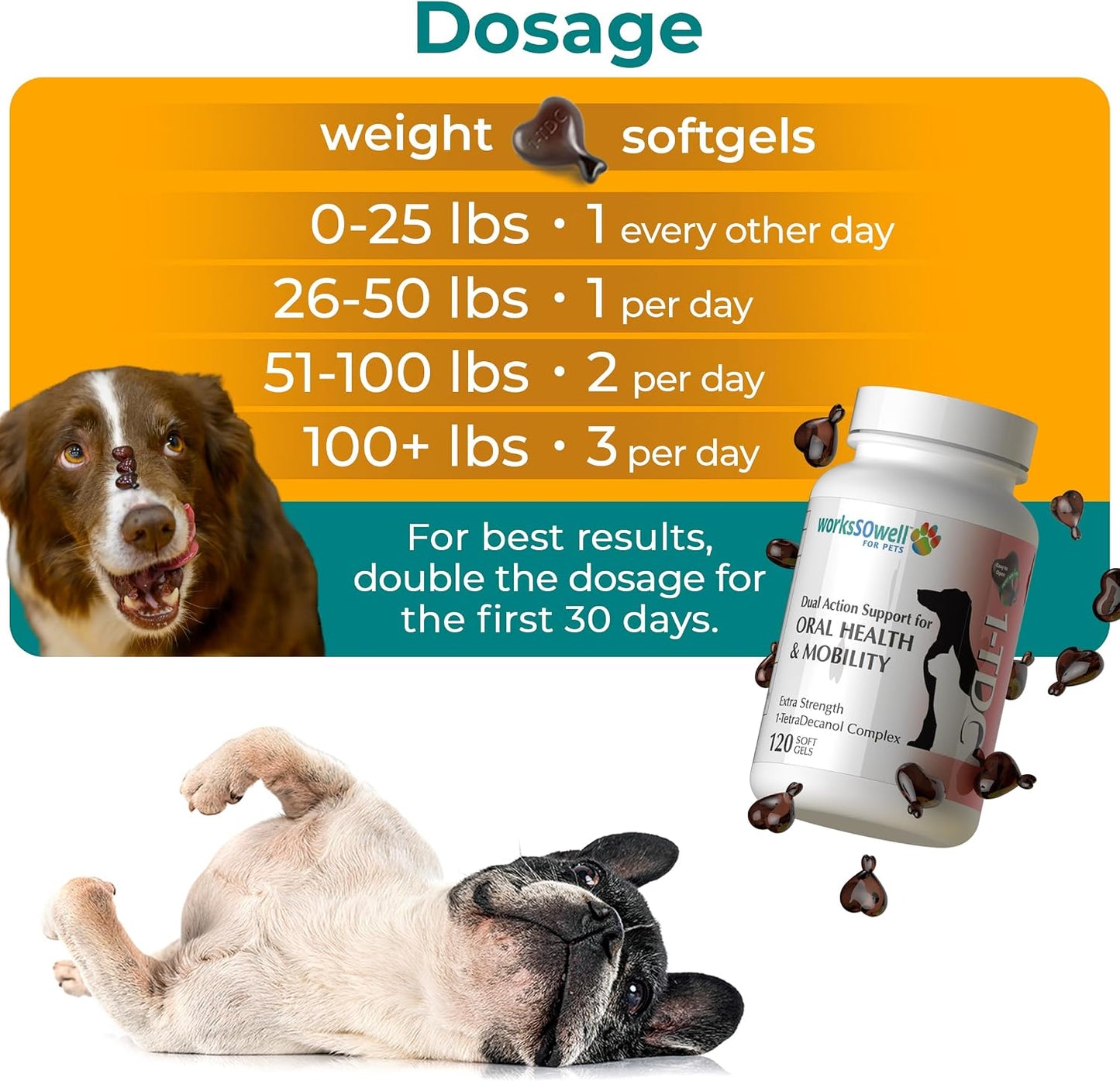 1TDC WorksSoWell Dual Action Hip and Joint Supplement for Dogs & Cats - for Large & Small Breed - Great for Oral Health, Stamina Recovery & Arthritis Pain Relief -120 ct