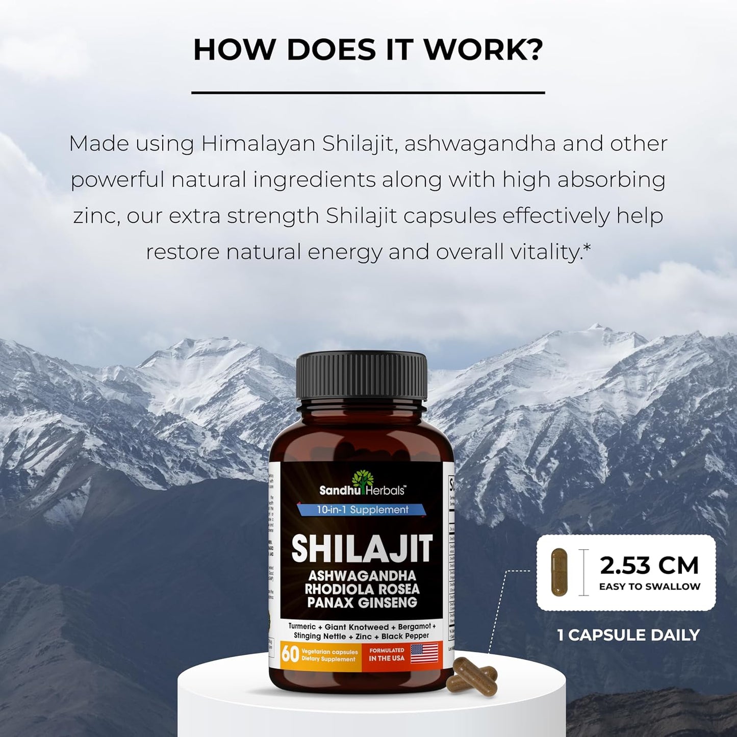 Shilajit for Men Capsules 10-in-1 Blend 60 Count 2 Month Supply | SANDHUHERBALS Himalayan Shilajit with Ashwagandha, Rhodiola Rosea, Panax Ginseng, Zinc, Turmeric for men and women.