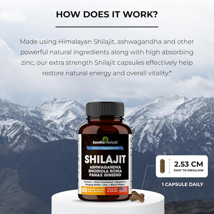 Shilajit for Men Capsules 10-in-1 Blend 60 Count 2 Month Supply | SANDHUHERBALS Himalayan Shilajit with Ashwagandha, Rhodiola Rosea, Panax Ginseng, Zinc, Turmeric for men and women.